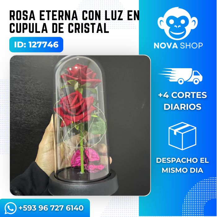 Rosa eterna con luz en cupula de cristal
