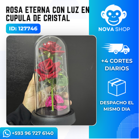 Rosa eterna con luz en cupula de cristal