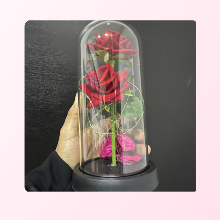 Rosa eterna con luz en cupula de cristal